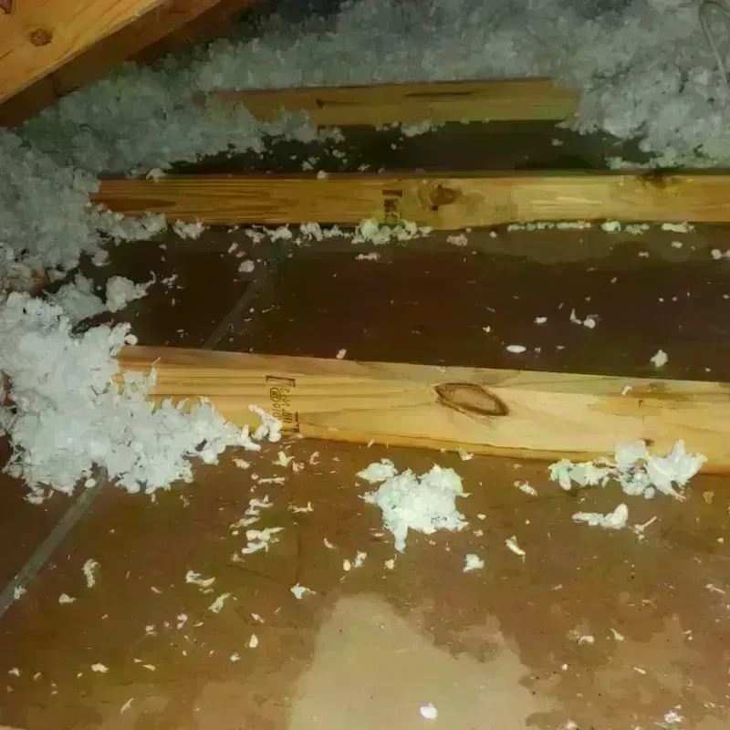 Attic Water Damage in Asheville, NC