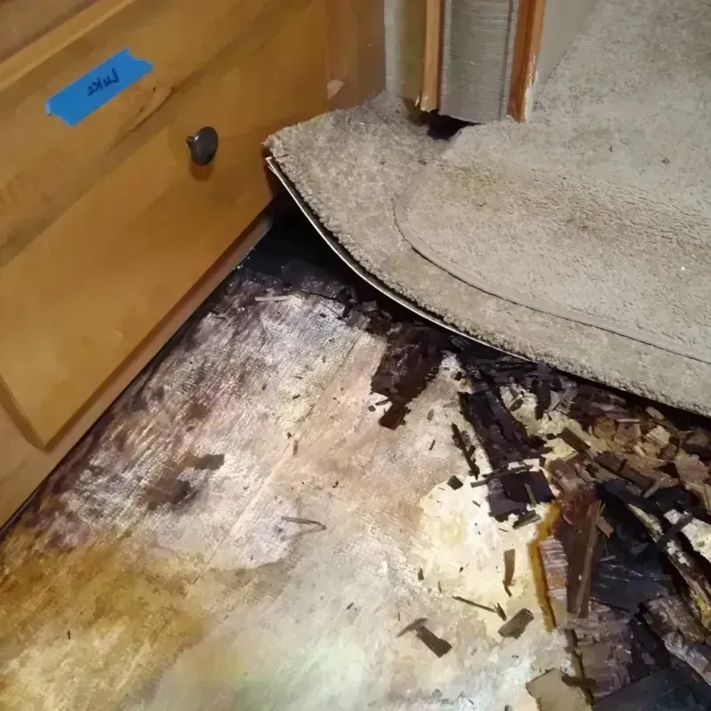 Best Wood Floor Water Damage Service in Asheville, NC